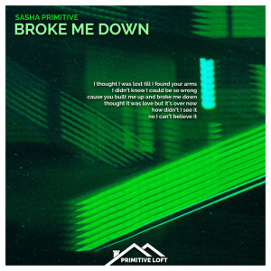 Listen to Broke Me Down (Hurts Mix) song with lyrics from Sasha Primitive