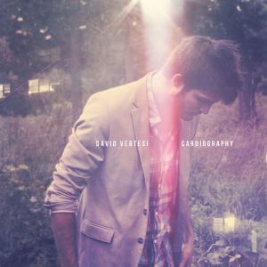 Listen to Soft Skin song with lyrics from David Vertesi
