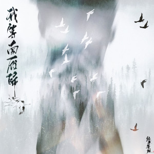Dengarkan 我等南雁归 (伴奏) lagu dari 纸无笔砚 dengan lirik