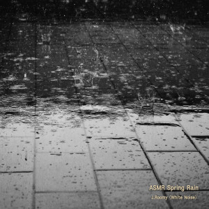 Album Spring Rain from J.Roomy