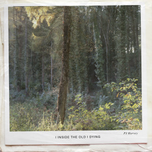 Album I Inside the Old I Dying from PJ Harvey