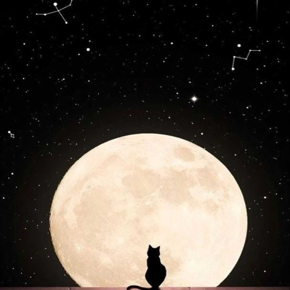 planeta