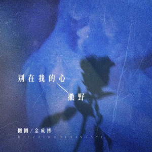 Listen to 别在我的心撒野 (卡点节奏版伴奏) song with lyrics from 金成博