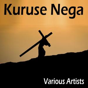 Album Kuruse Nega from 