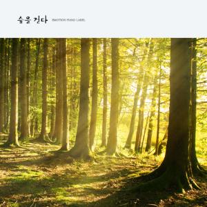 Daily Piano的专辑Walk Through The Forest