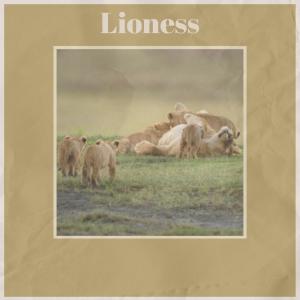 Various的专辑Lioness