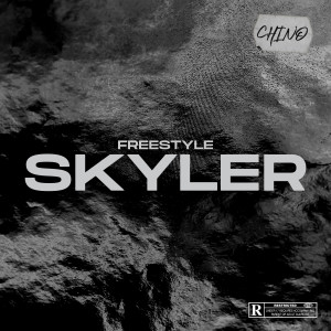 Album Freestyle Skyler (Explicit) from Hizzle
