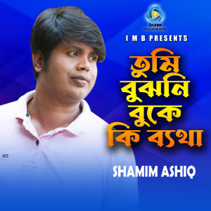 Shamim Ashiq的专辑Tumi Bujhoni Buke Ki Betha