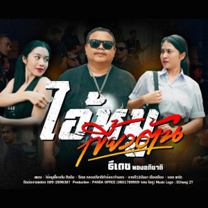Listen to ไอ้หมูเขี้ยวตัน song with lyrics from ธีเดช ทองอภิชาติ
