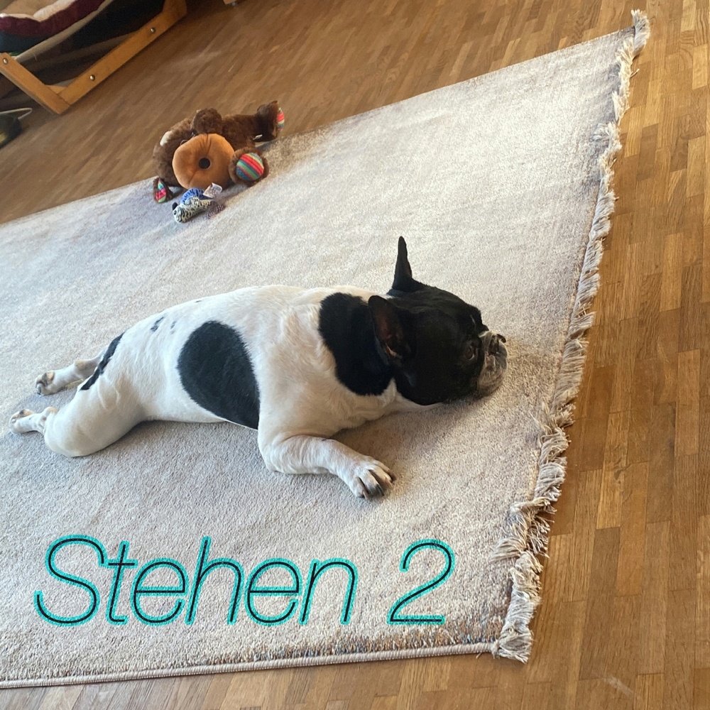 Stehen 2
