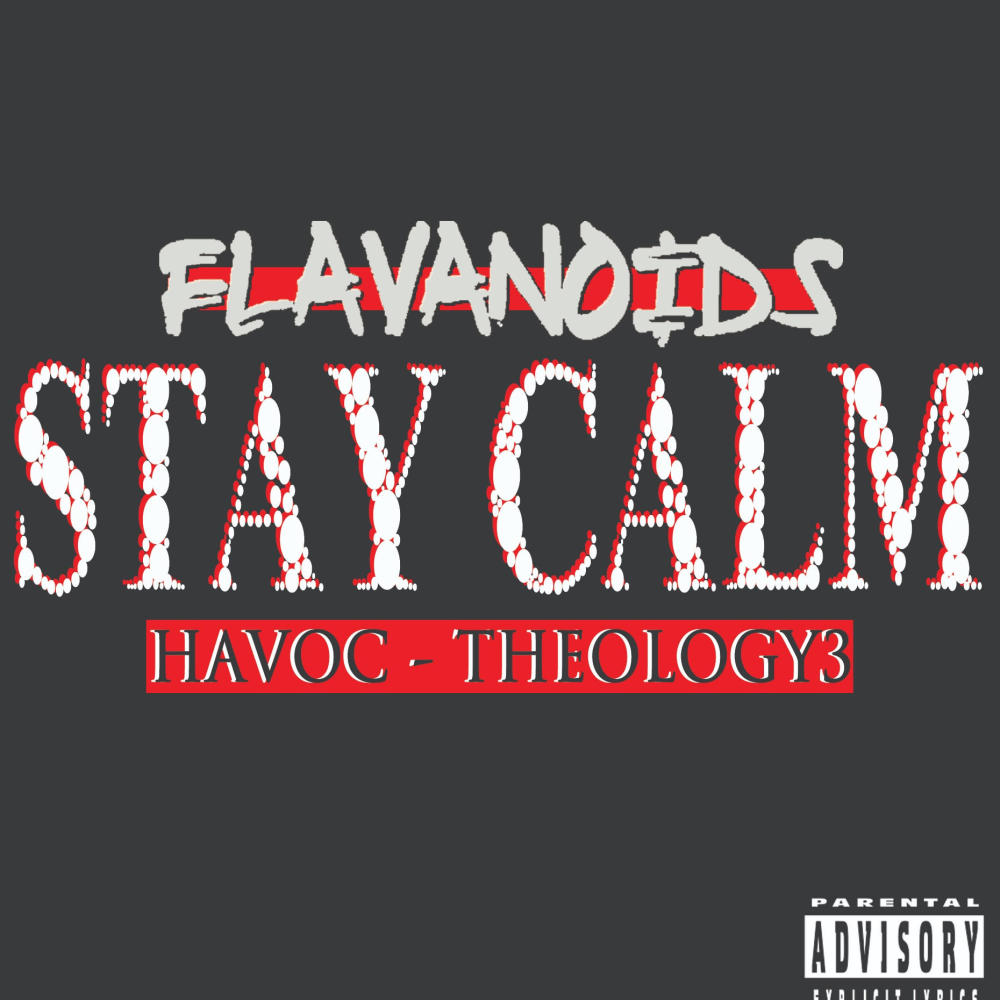 Stay Calm (feat. Theology 3 & Havoc) (Explicit)