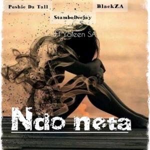 Listen to Ndo Neta(feat. Yoleen SA) song with lyrics from Pushie Da Tall