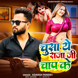 Adarsh Pandey的专辑Chusa Ye Raja Ji Chap Ke