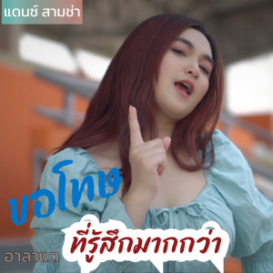 收听อาลาแต的ขอโทษที่รู้สึกมากกว่า (แดนซ์สามช่า)歌词歌曲