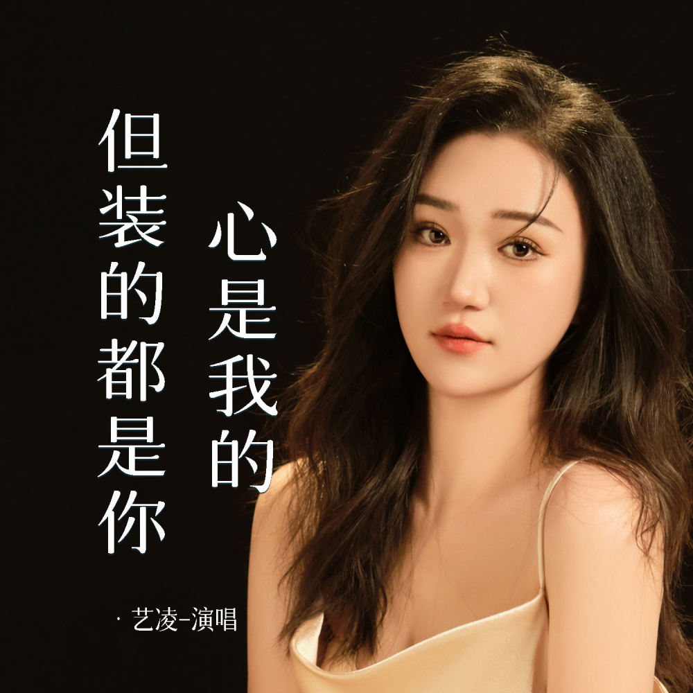 心是我的但装的都是你 (DJ阿能版伴奏)