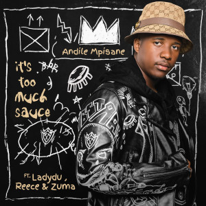 Dengarkan It's Too Much Sauce lagu dari Andile Mpisane dengan lirik