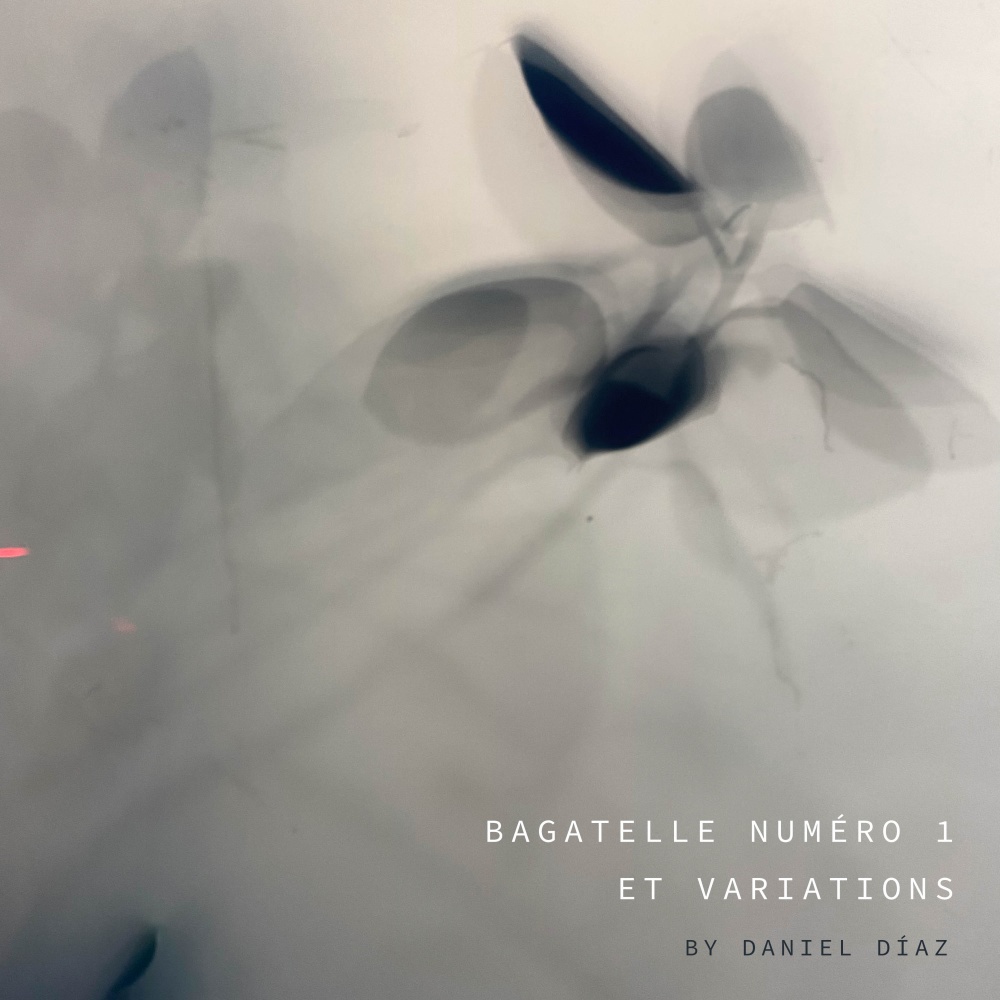 Bagatelle Numéro 1 Variation 1