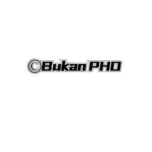 收听Along的Bukan PHO (抖音版)歌词歌曲