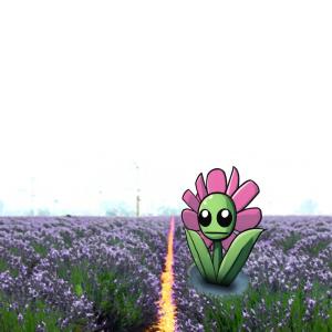 收聽Eoin的Lavender Ballad (Explicit)歌詞歌曲