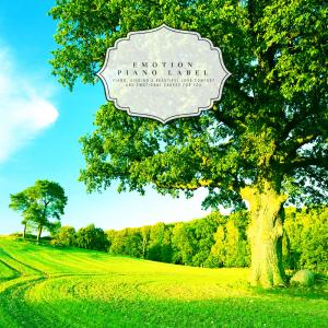 Various Artists的专辑Healing New Age Piano to comfort students' tired minds