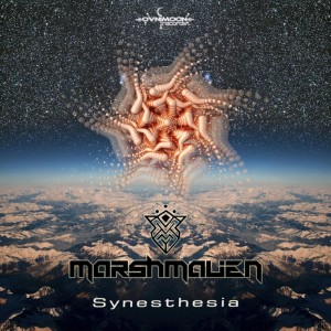 Dengarkan Synesthesia (Original Mix) lagu dari Marshmalien dengan lirik