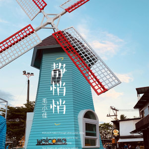 收聽毛小佳的靜悄悄 (伴奏)歌詞歌曲