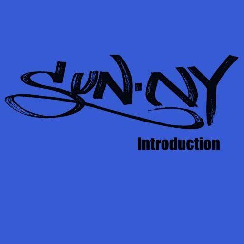 Introduction/E-Single/SunN.Y. (Radio Edit)