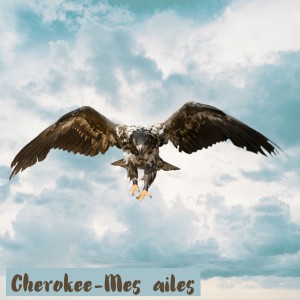 Dengarkan lagu Mes ailes nyanyian Cherokee dengan lirik