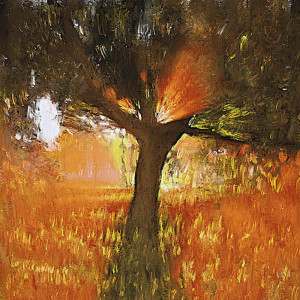Listen to Volunteered song with lyrics from The Antlers