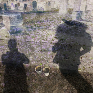 Listen to Schleim (Explicit) song with lyrics from Spacelord