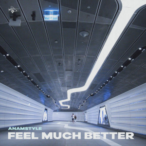 收听AnAmStyle的Feel Much Better歌词歌曲