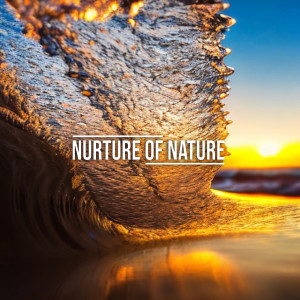 Nurture of Nature的专辑Nurture of Ocean