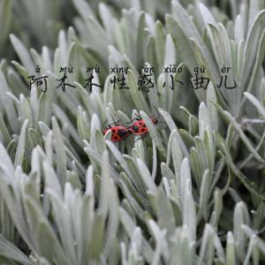 Listen to A Mu Mu Xing Gan Xiao Qu Er song with lyrics from 张酷