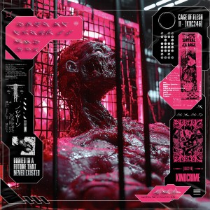 收聽T_Error 404的Trailhead歌詞歌曲