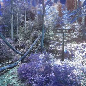 อัลบัม Allison Forest ศิลปิน Tony Davis