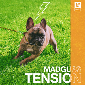 Listen to Tension - Radio Edit (Radio Edit) song with lyrics from MADGUSS