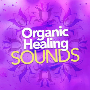 收聽Nature Sounds 2015的Water Source歌詞歌曲