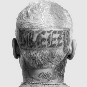 收聽Chris Brown的Dream (Explicit)歌詞歌曲