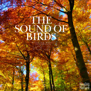 ดาวน์โหลดและฟังเพลง Relaxing Birds of Demilitarized Zone Forest 7 พร้อมเนื้อเพลงจาก 힐링 네이쳐 Nature Sound Band