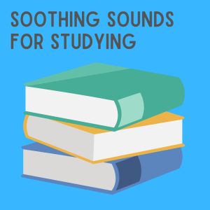 Dengarkan lagu Soothing Sounds for Studying, Pt. 14 nyanyian Concentration dengan lirik