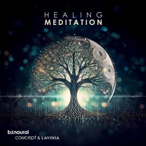 ดาวน์โหลดและฟังเพลง Healing Meditation Handpan พร้อมเนื้อเพลงจาก Binaural Concept