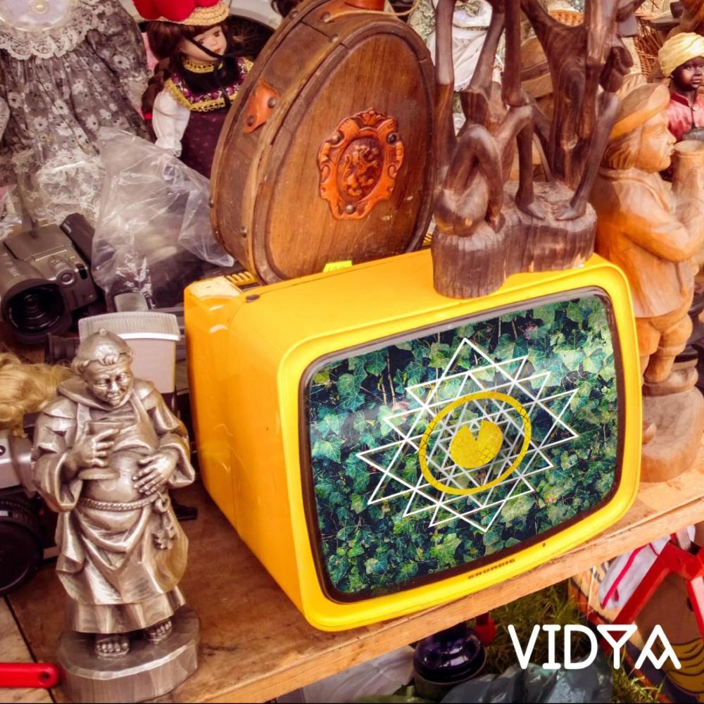 Vidya