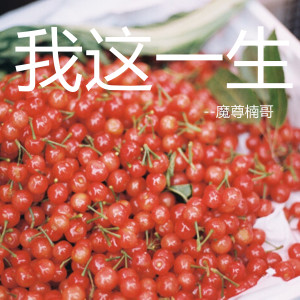 收聽魔尊楠哥的不愛我別傷害我歌詞歌曲