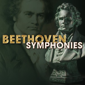ดาวน์โหลดและฟังเพลง Symphony No. 9 in D Minor, Op. 125 "Choral": I. Allegro ma non troppo, un poco maestoso พร้อมเนื้อเพลงจาก Éva Andor