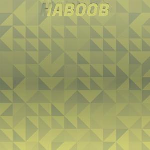 Various的专辑Haboob