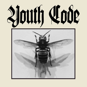 Listen to Anagnorisis song with lyrics from Youth Code