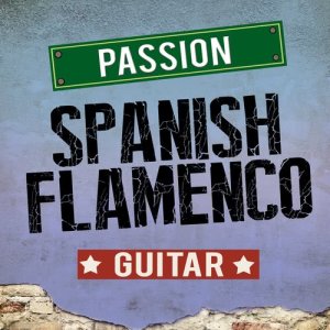 Salsa All Stars的專輯Passion: Spanish Flamenco Guitar