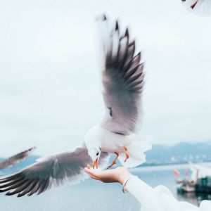 收聽餘澤雅的小情歌歌詞歌曲