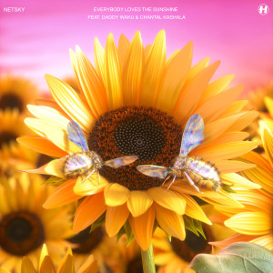 Album Everybody Loves The Sunshine oleh Netsky