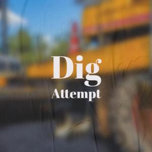 Album Dig Attempt from 